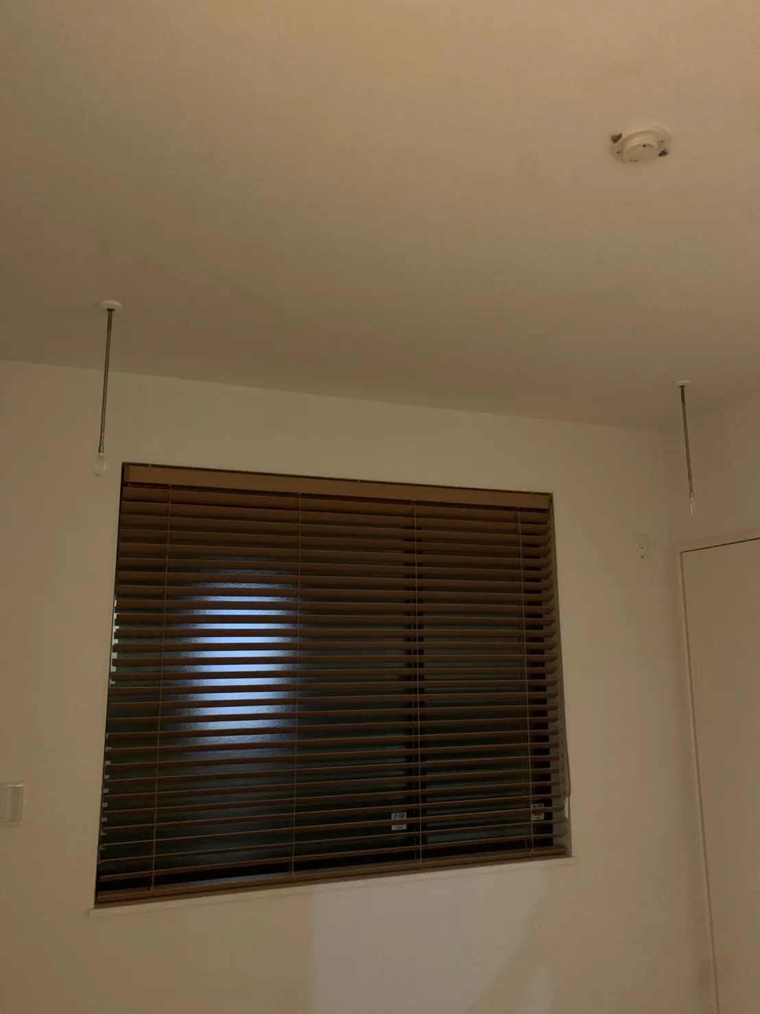 ホスクリーン🧐